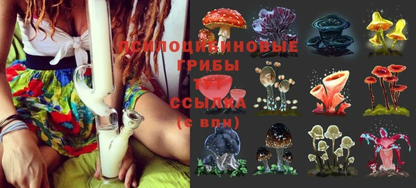 наркотики Абинск
