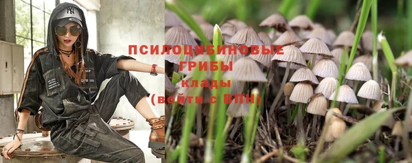мяу мяу мука Абдулино